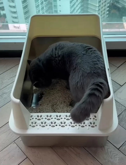 Cat using the 4furbaby cat litter box