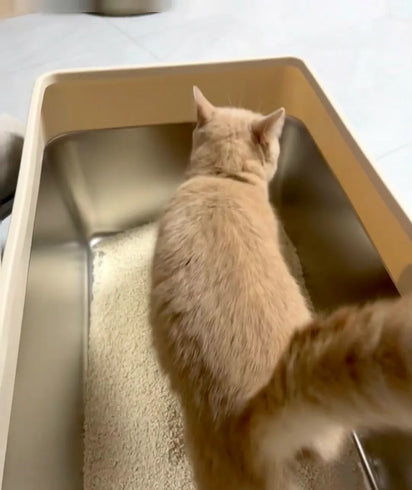 Cat using the 4furbaby cat litter box