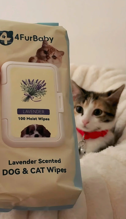 4furbaby Dog and cat wipes