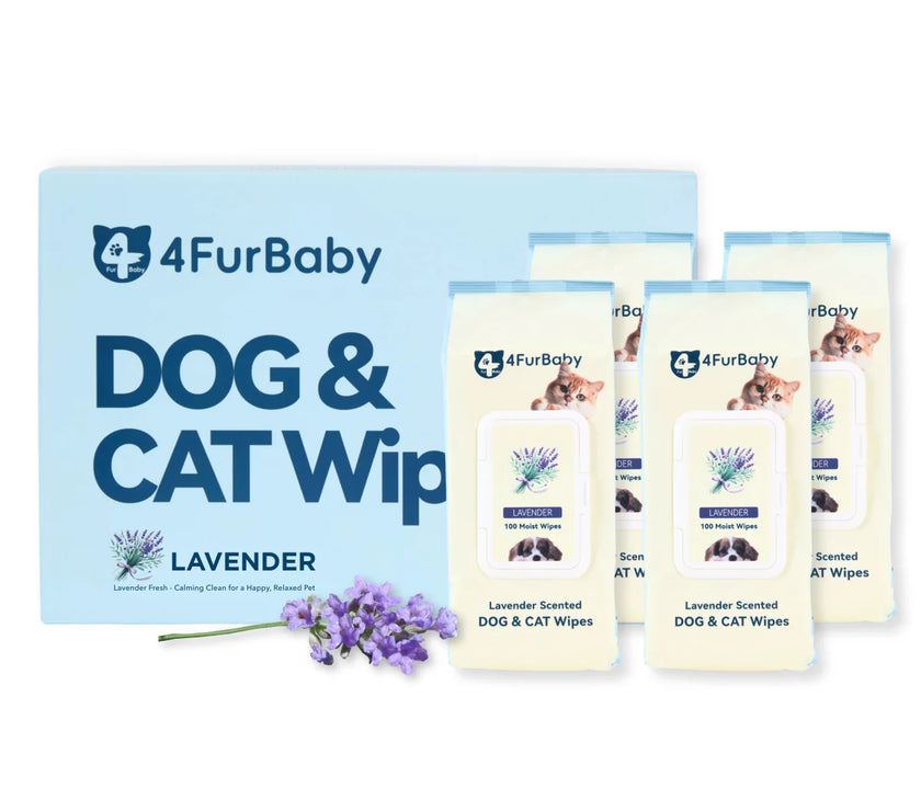 100 counts Extra - Thick Plant Wipes Premium 100% Plant - Based & Compostable Pet Grooming Wipes – Keep Your Pet Fresh the EZ Way - 4FurBaby