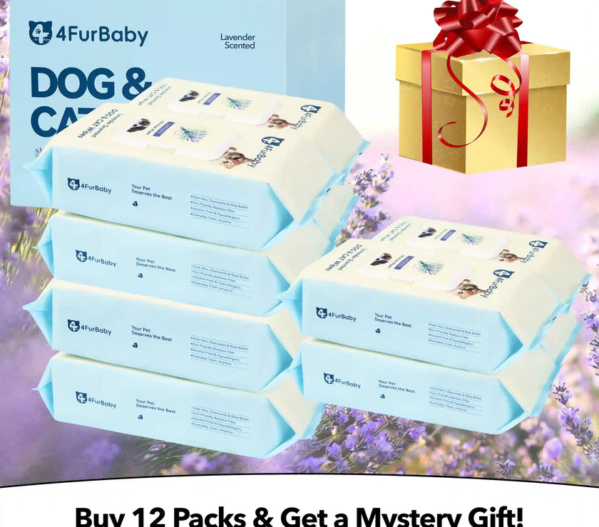 4FurBaby dog and cat wipes