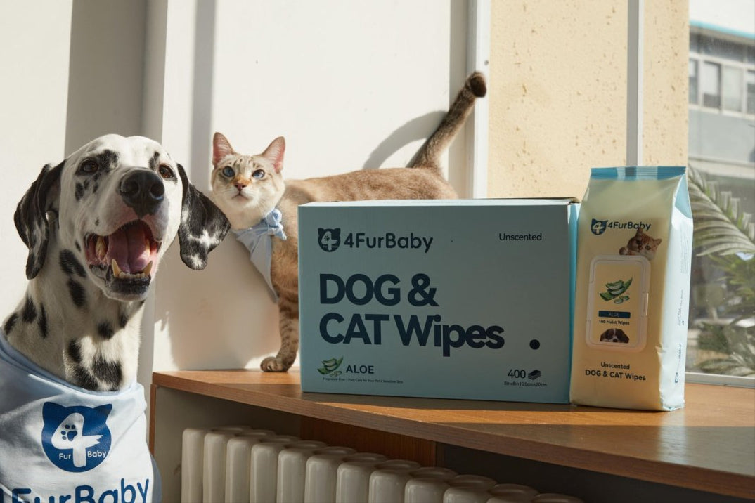 Bamboo Pet Wipes Dog & Cat Cleaning and Odor - Controlling Grooming Wipes - Biodegradable, Gentle, and Soothing - 4FurBaby