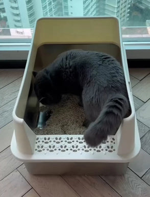 Cat using the 4furbaby cat  litter box 