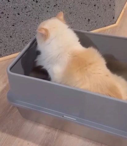 Cat using the 4furbaby cat  litter box 