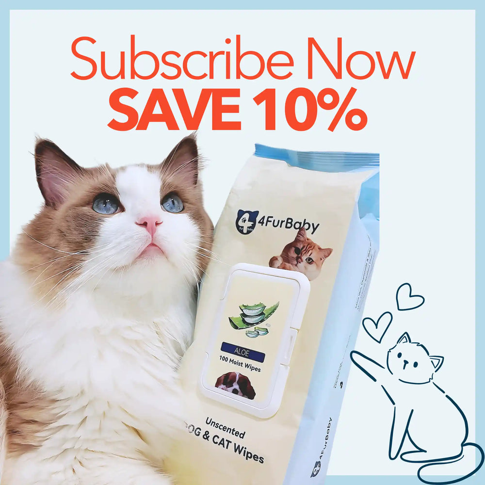 Cat with a package of 4FurBaby wipes