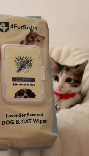 4furbaby Dog and cat wipes