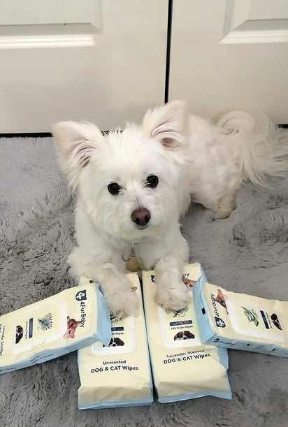 4furbaby Dog and cat wipes